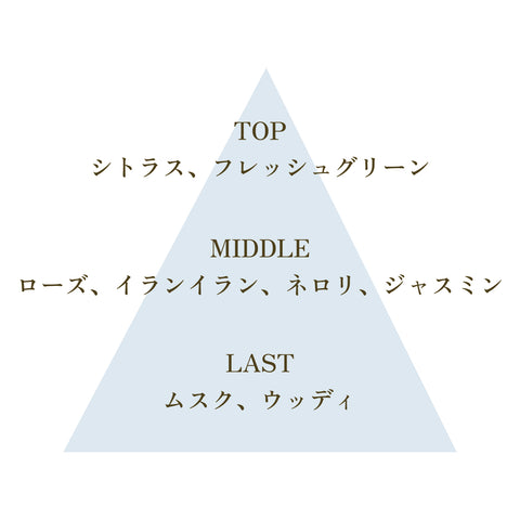 【No5. FREEDOM】FSGB Fortune Mist フォーチュンミスト