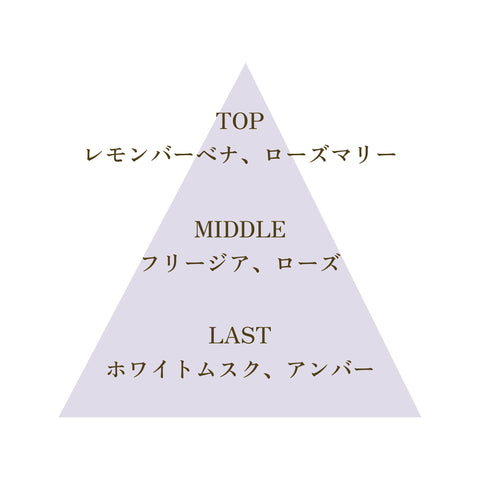 【No7. WISDOM】FSGB Fortune Mist フォーチュンミスト