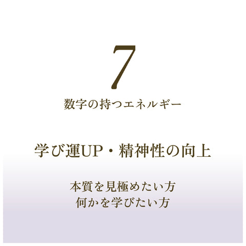 【No7. WISDOM】FSGB Fortune Mist フォーチュンミスト