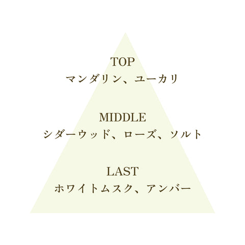 【No3. JOY】FSGB Fortune Mist フォーチュンミスト
