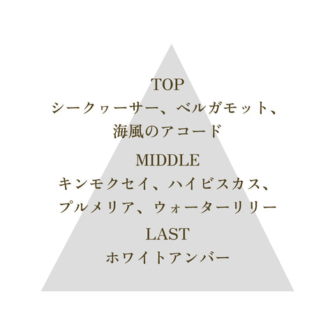 【No9. ENLIGHTENMENT】FSGB Fortune Mist フォーチュンミスト