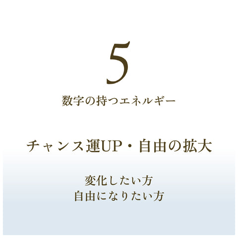 【No5. FREEDOM】FSGB Fortune Mist フォーチュンミスト
